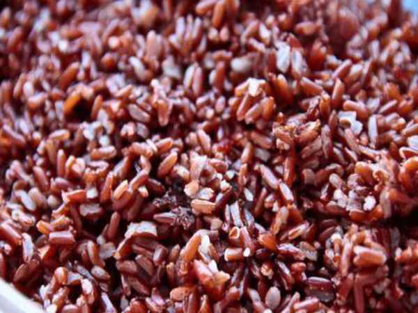 Ăn gạo lứt có giảm cân không? Cách nấu gạo nứt giảm cân?