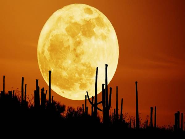 Siêu trăng là gì? Đặc điểm của hiện tượng siêu trăng