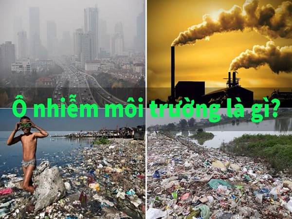 Ô nhiễm môi trường là gì? Nguyên nhân gây ra là gì