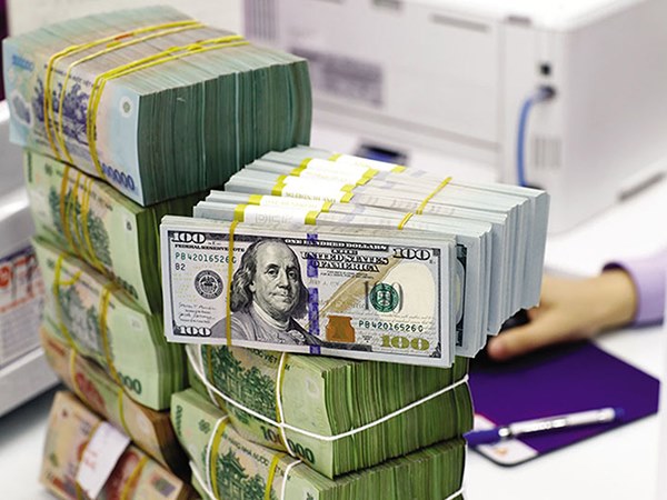 Nằm mơ thấy tiền đô là điềm báo gì, số mấy tài lộc?