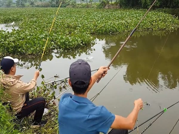 Nằm mơ thấy đi câu cá là điềm gì, tốt hay xấu, số gì may